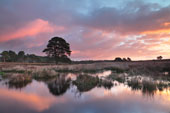 Duck Hole Dawn image ref 274